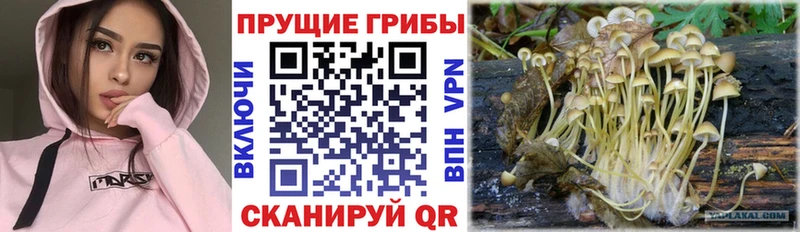 Галлюциногенные грибы GOLDEN TEACHER  МЕГА tor  Лениногорск  цены наркотик 
